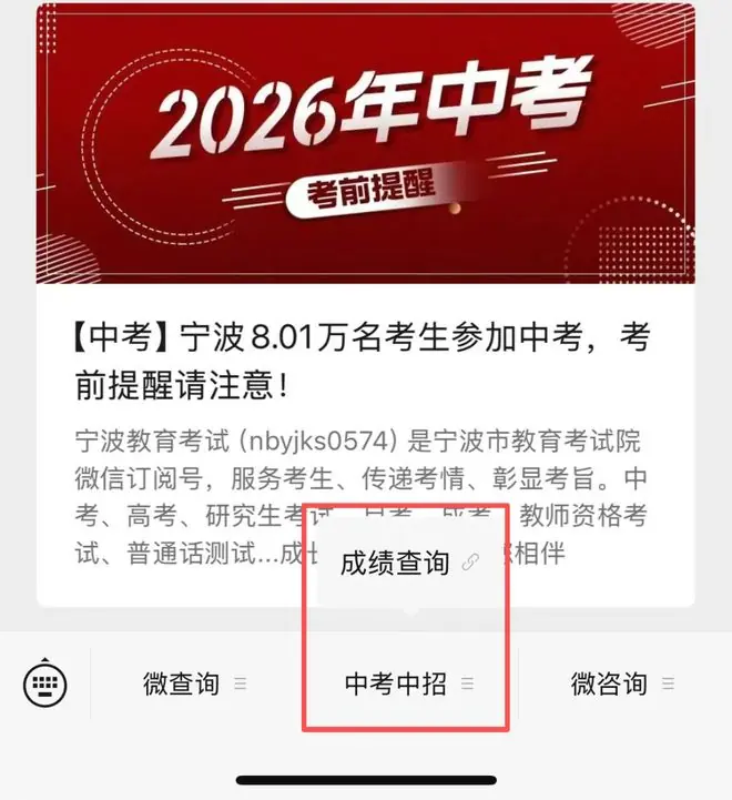 查询界面示意图
